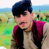 ahmadzaihalak351