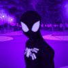 zeno_edits70