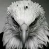 user052079290