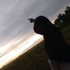 softpoken_21