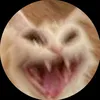 sapcuoihnue