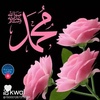 manal.mansour00