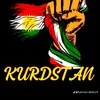 rawand.rzgar98