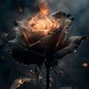 ironrose050