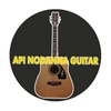 Api Nodanna Guitar