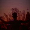 lionking8834