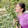kimduoclieu