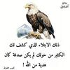 user5481095027872