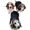 boninojg