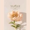 wassi_036