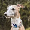 ultra.whippet