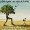 centinela86_0