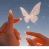 abouda5847