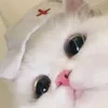 dangbidiennhe