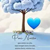 ana.cristina04356