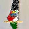 Palestine Insight 🇲🇾🇵🇸