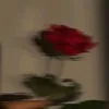 ...nadia_6