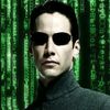 matrix241981