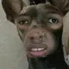 danhvi998