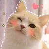 memehello1