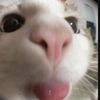 korean_56575