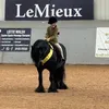 rosie.and.ponys
