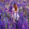 arminsalehi4