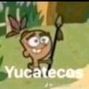 octavio0702