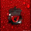 thatliverpoolfan7