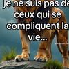 issoufguene7