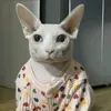 maciekmro