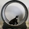 chuckblackcat