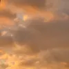 aavxqa