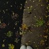 filmsbyfall