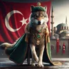 bozkurt01200