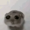 sad_rod3nt