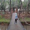 desi_sa
