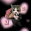 maiixinhyeuu