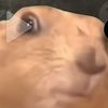 noahgzzzz