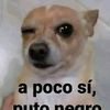 miguelvicentecruz1
