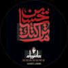 131_ali_3
