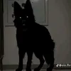 157_xitado_