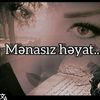 alzad.bora