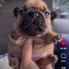 ivanegamez2