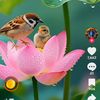 user6104456613141