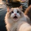 Luca