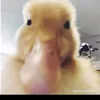 mary_nicole34