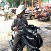nonlam233