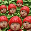 ochia_zi