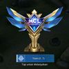 lionare_21